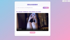 二次元聚合短视频解析去水印系统源码
