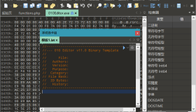 十六进制编辑器010 Editor v16.0.4汉化绿色版