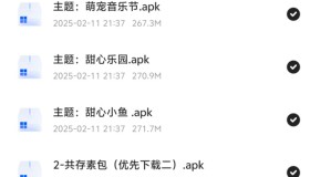 安卓定制v功能+教程+十款美化主题包