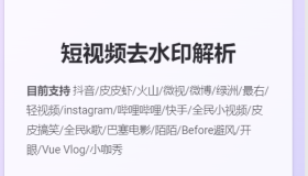 抖音/快手/b站/微视/西瓜/在线去水印附源码
