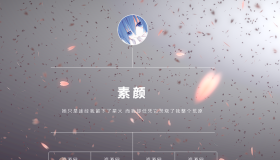超级好看动态视频官网源码