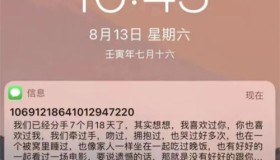 冷门小众项目：匿名发短信