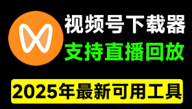 2025最新版本，视频号下载器！支持直播回放下载，使用超简单，一键下载为MP4格式