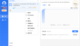 迅雷11 v11.1.12.1692 去广告SVIP绿色精简版