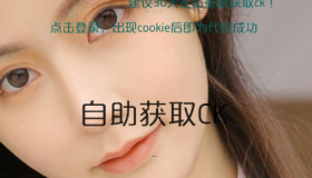 修身羊毛京东助手 自动提交ck执行程序