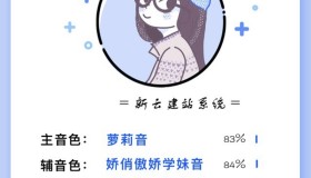 声音鉴定引流神器源码，完整可运转