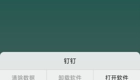 闪盒分身9.9解锁版–支持某钉打卡，支持安卓15，最近很火的包