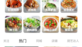 厨艺达人V1.1包含各类菜系，家常菜、减肥餐等等，支持菜名直接搜索
