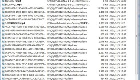 Everything 本地搜索神器v.4.3.6