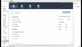 Wise Disk Cleaner v11.0.7.821便携版 电脑清理工具 C盘瘦身