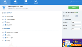 Wise Disk Cleaner v11.3.3.853绿色版