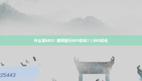 什么是SEO？如何进行SEO优化？