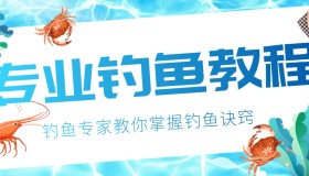 钓鱼视频技巧教程实战大全