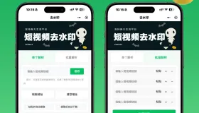 去水印小程序视频提取小程序源码支持二次开发流量主源码小程序