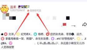 QQ动态 仅对你可见 代码分享