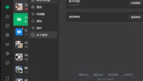 微信Windows版 v4.1.10.19多开&消息防撤回公测版绿色版x64位（5.23补官方包）