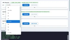 开发环境自动装备小工具附带源码