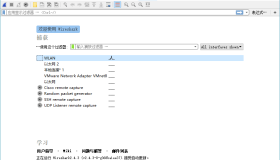 Wireshark v4.6.3绿色便携版