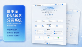 白小泽DNS域名分发系统 公测版 v1.0.0 欢迎测试