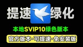迅雷12绿色免按装精简版，打开即是SVIP10 可提速下载资源，本地会员版！