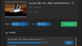 VidDown视频下载器v1.0无水印下载B站/钭音/油管等