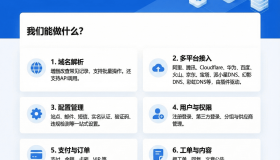 迅风DNS Pro二级域名分发V2.3.3系统源码