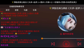 车载DJ1.2音乐嗨皮都是你喜欢的DJ，如果我是DJ你会爱我吗？