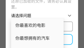图片视频加密1.0终身会员的文件加密软件