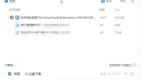 迅雷最新版 绿化精简版 高速下载资源 磁力下载