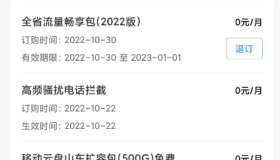 山东移动1元包100G黑天，仨月