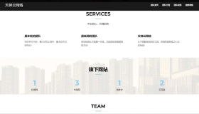 网络科技团队源码+查询成员+后台 源码