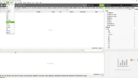 SEO利器尖叫青蛙 Screaming Frog SEO Spider 24.3 最新版汉化补丁
