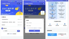 企业年报服务系统/小微服务助手系统电销年报系统企业年审企业申请管理