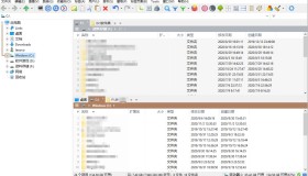 XYplorer v22.90.0100汉化版