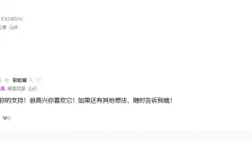 [WP]插件，AI自动评论回复，对游客客户友好评论