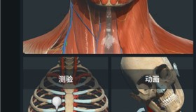 Anatomy Learning3.1.494解锁高级版 3D人体解剖图