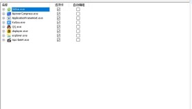 WindowTabs窗口多标签工具