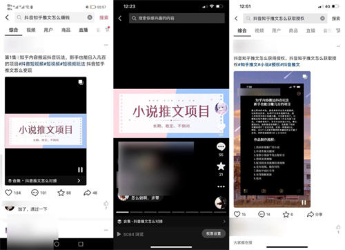 通过抖音 seo 操作知乎推文小说项目精准引流 1000 粉 引流 SEO 抖音营销 SEO 推广 第 1 张