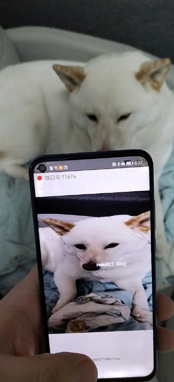 菜鸟 AI 开发入门：AidLux 将旧手机变开发服务器