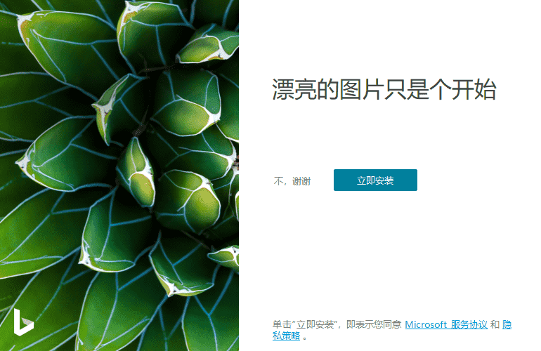 必应桌面壁纸 Bing Wallpaper v2.0.0.5