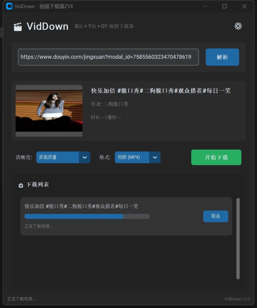 VidDown 视频下载器 v1.0 无水印下载 B 站 / 钭音 / 油管等