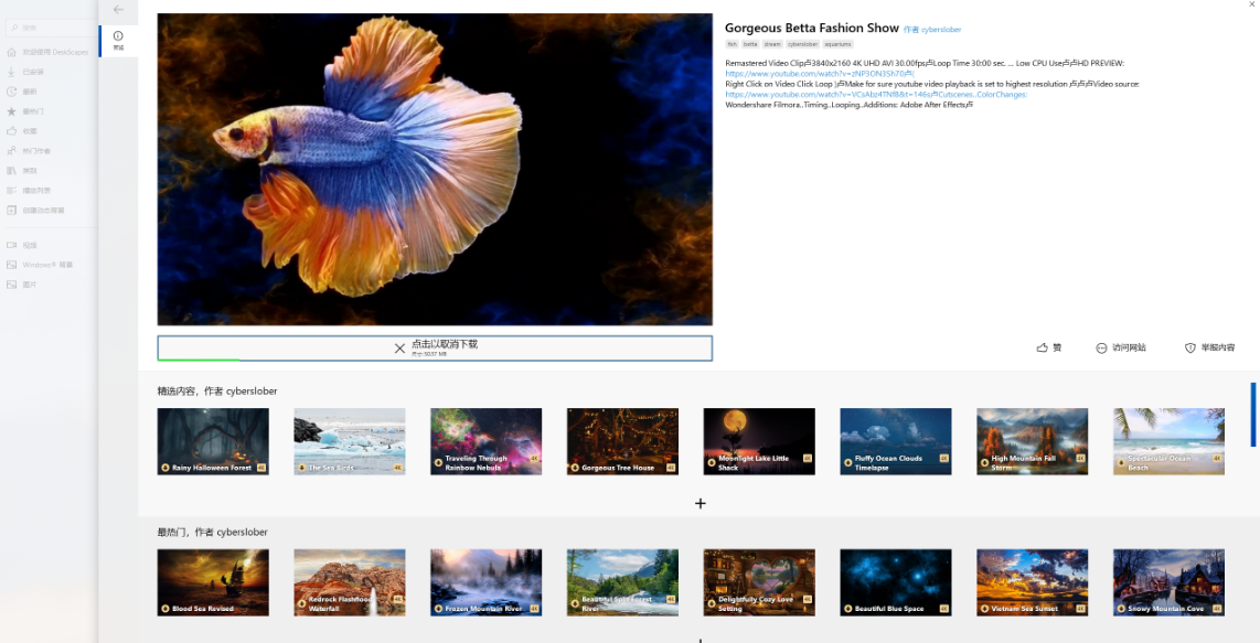 酷炫的梦幻动态视频桌面特效美化软件 DeskScapes v11