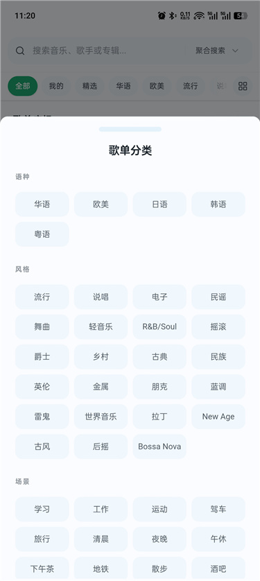 水獭音乐 2.4.11 纯净无广 免费听全网 可下载