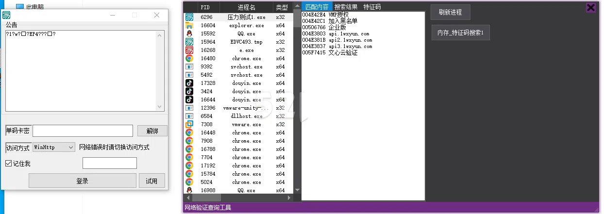 一键查网络验证工具源码
