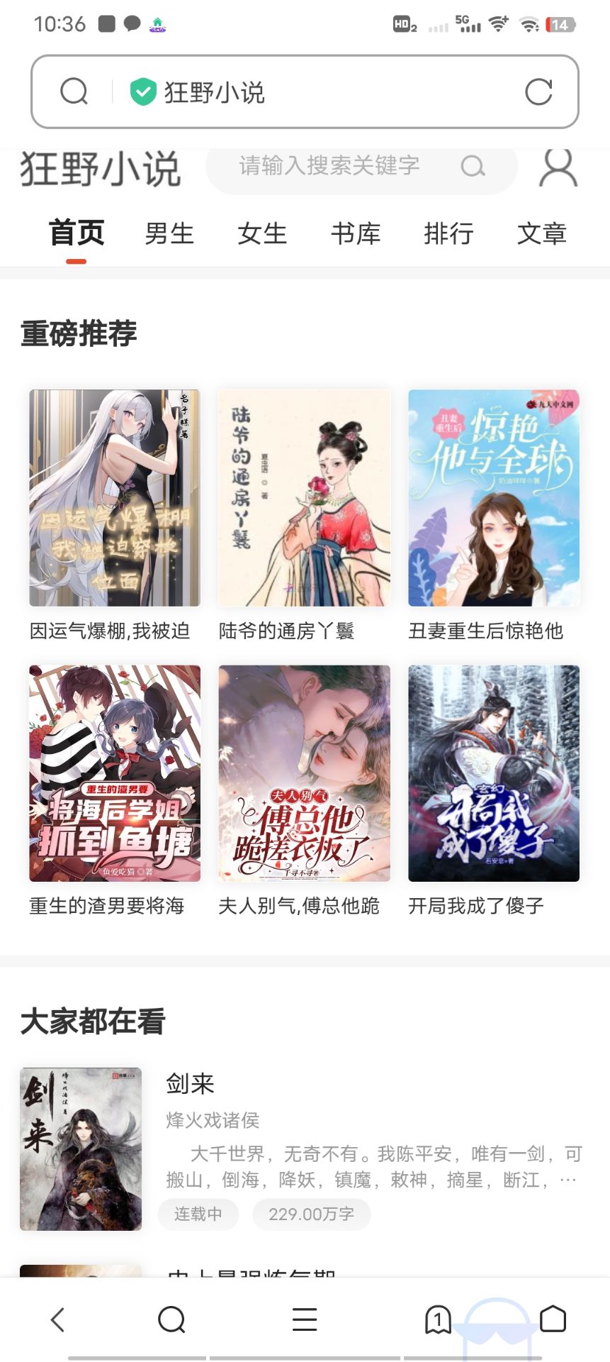 小说网站源码带管理后台手机端和采集-小浪学习网
