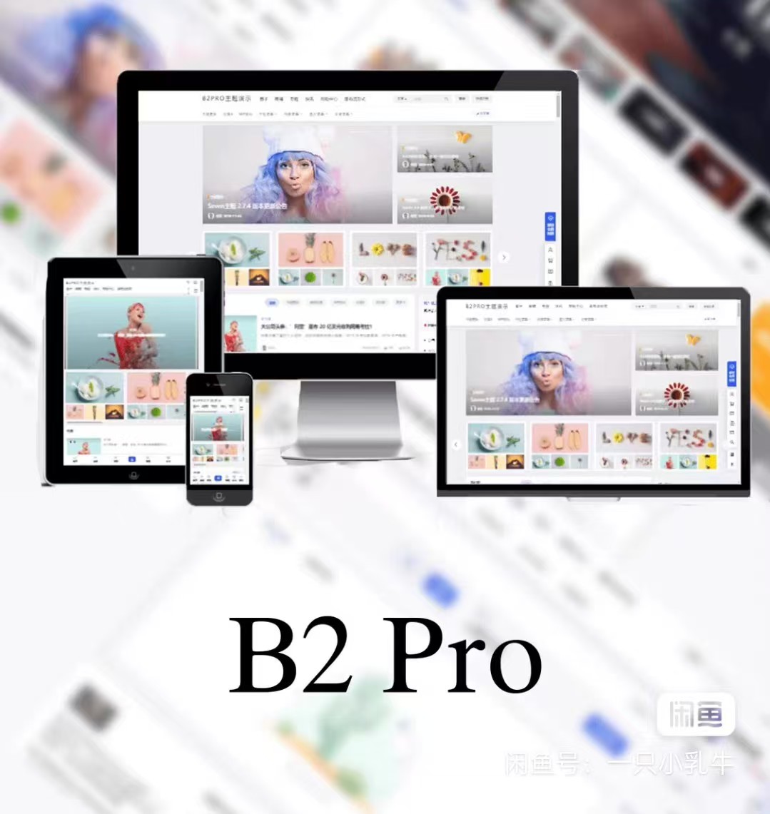 最新版 7B2 PRO 主题 5.4.2 免授权开心版源码