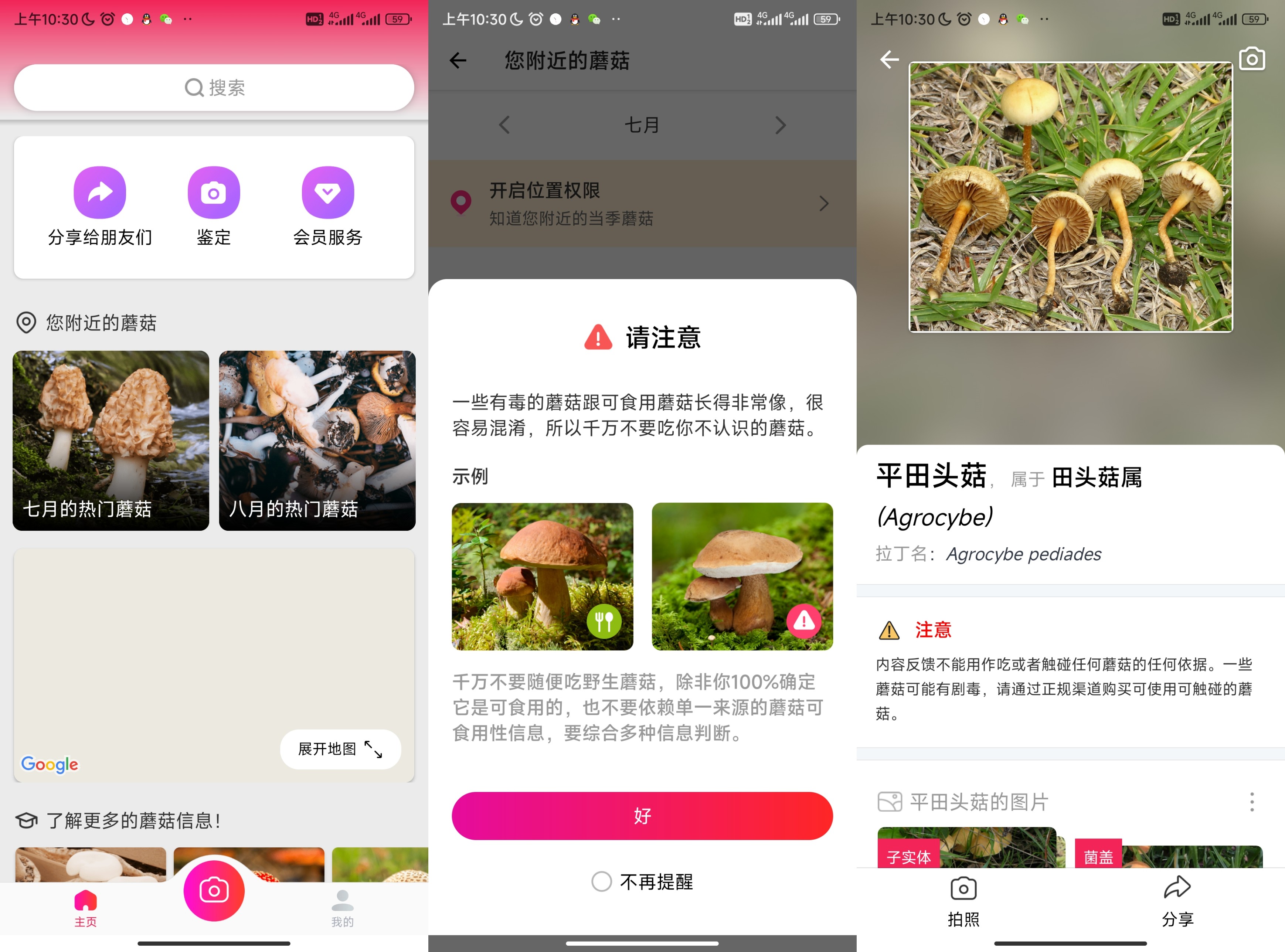 你不中毒的神器 蘑菇识别 APP