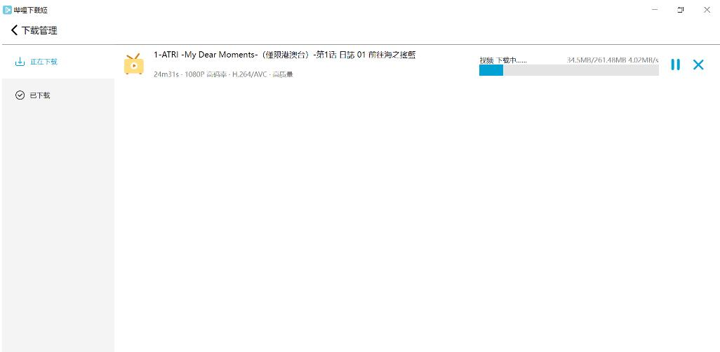 跨平台 B 站下载工具 DownKyiCore 1.0.11