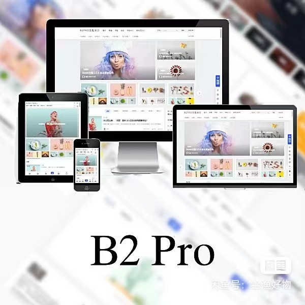 WordPress B2 Pro 主题 5.2.0 最新开心版, 附带官方包体与授权文件