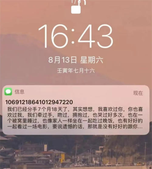 冷门小众项目：匿名发短信 网赚 审查 好文分享 第 1 张